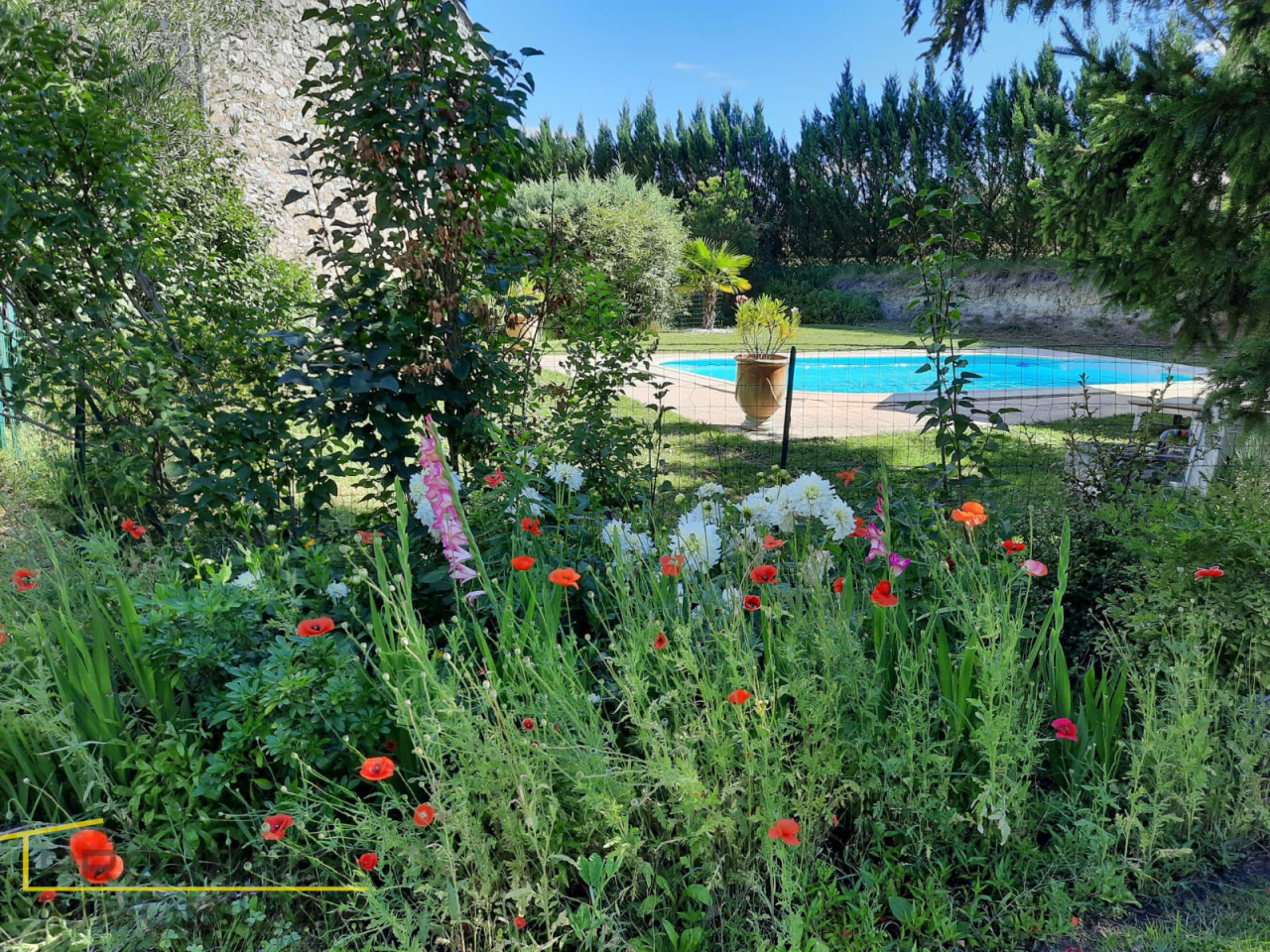Image_11, Maison, Allan, ref :T2364