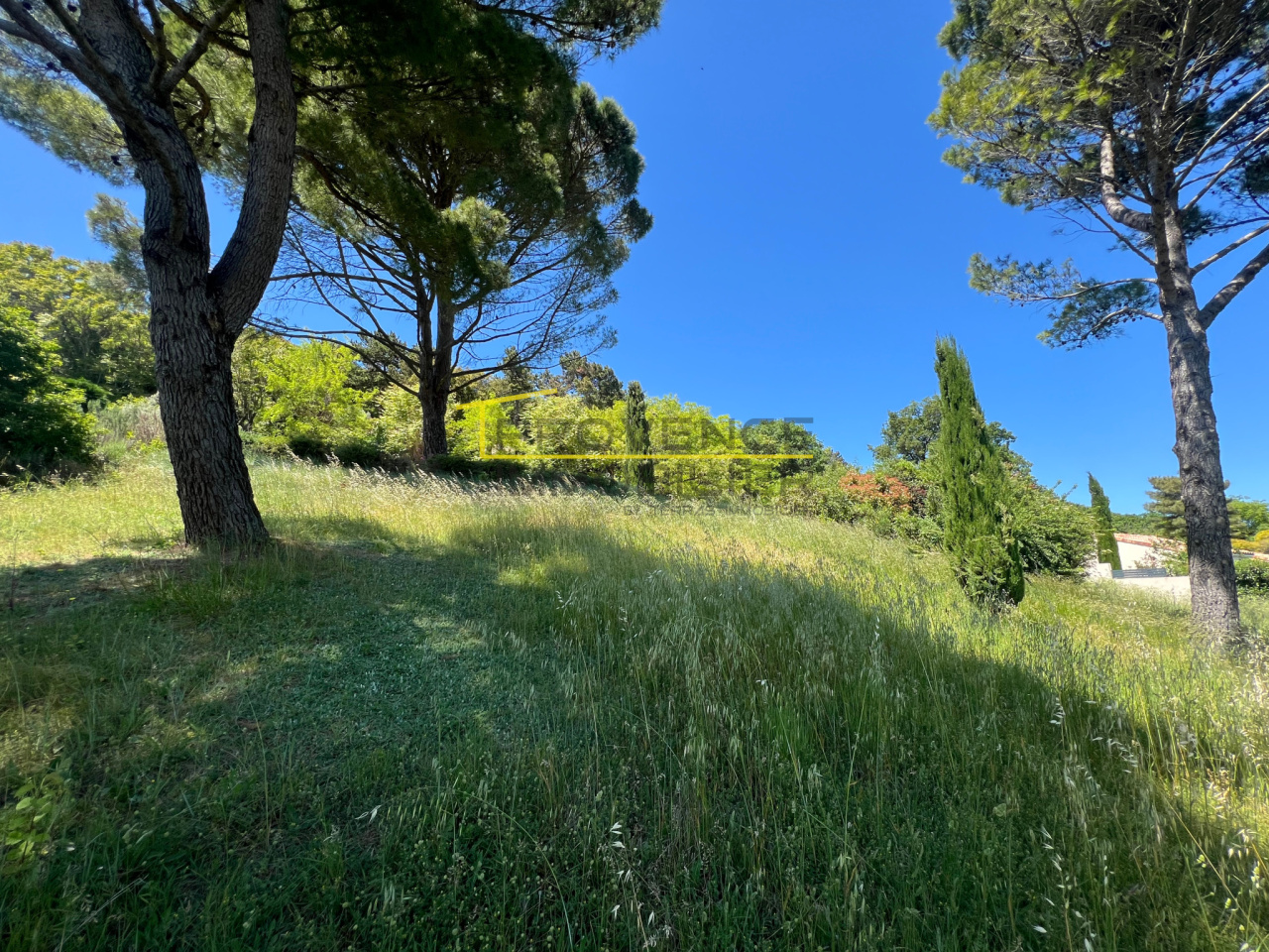 Image_7, Terrain, Savasse, ref :T2316